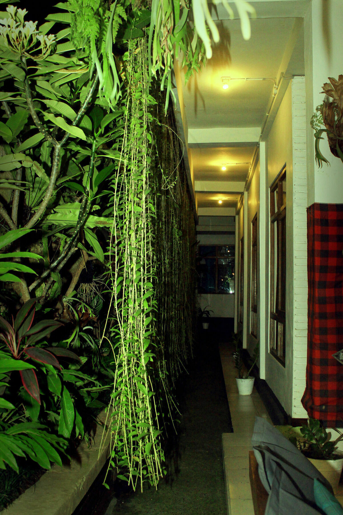 Friendly House Bali Hostel อูบุด ภายนอก รูปภาพ